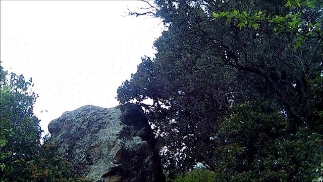 Парк дворца графа Воронцова. смотреть онлайн