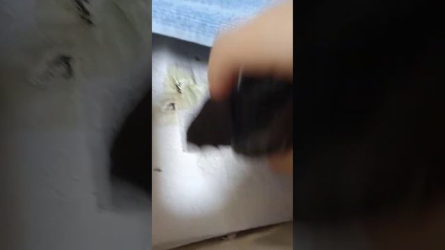 я нашла стрижа на улице и он был ранен у него сломана нога надеюсь что он вылечиться 😢😢😢😢😢😢😢😭😭😭😭😭😭😓 смотреть онлайн