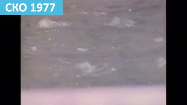 Совхоз Ленинский в Северном Казахстане смотреть онлайн