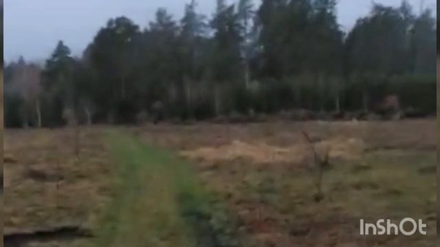 Русская гончая Шумок вл. Зоров Евгений. смотреть онлайн