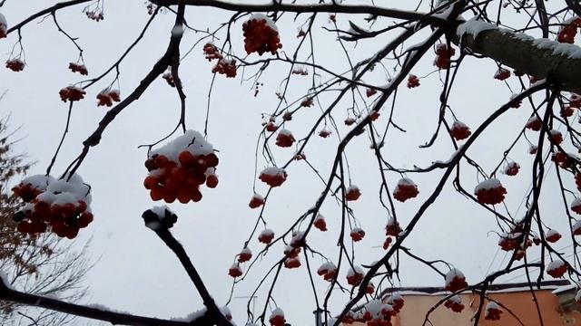 VID 20220128 152730 Неизгладимы, нет...1917 (Н. Гумилёв)...Павел Васильев Лахтинский смотреть онлайн