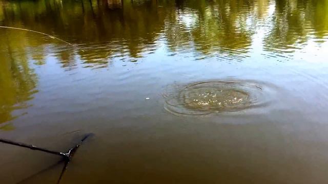Машково 09.05.2015 смотреть онлайн