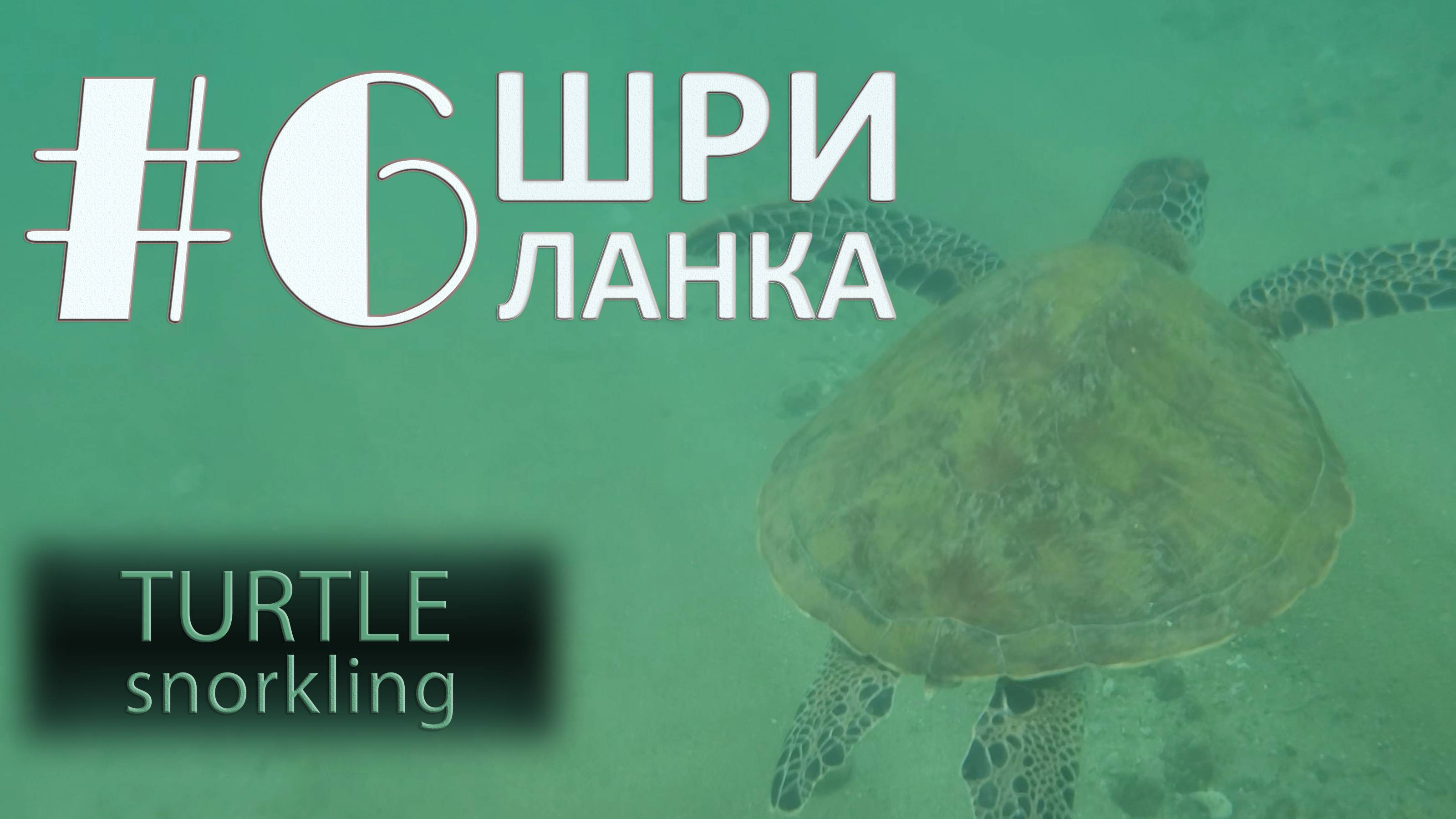 Sri Lanka. #6 Turtles. Snorkling смотреть онлайн