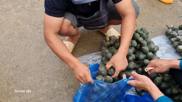 Harvest, forest fruit, sell, take care of livestock, forest life смотреть онлайн