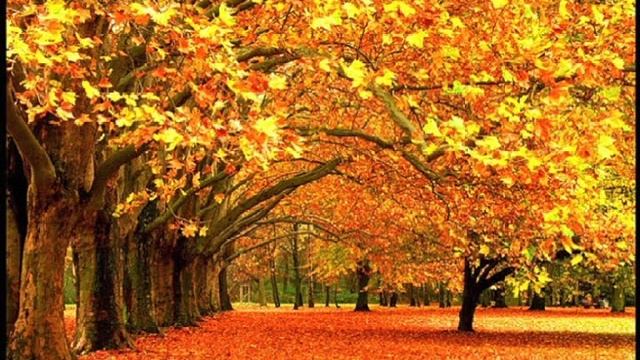 Осень - Павел Матвеев смотреть онлайн