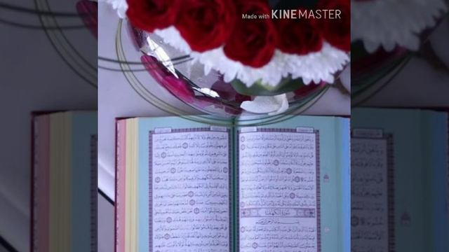 SURA AL - NISO смотреть онлайн