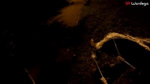 Собака в костюме паука пугает людей!!!