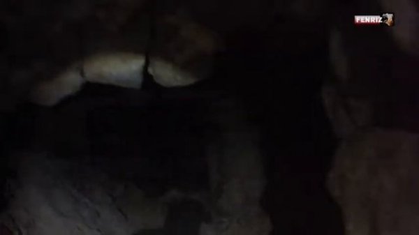 РОГЕЙН В СЬЯНАХ #сьянырогейн