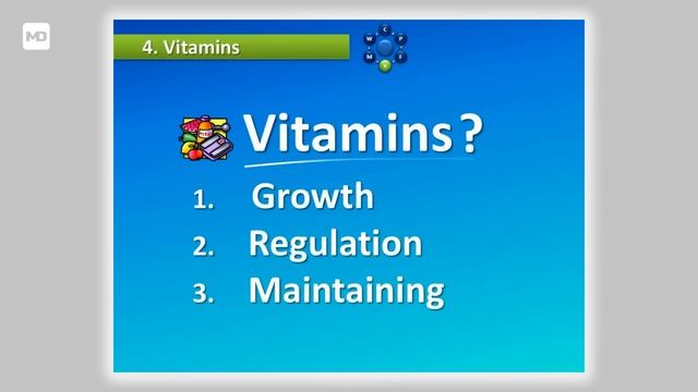 Nutrients and Their Functions - You Are What You Eat: Crash Course #1 смотреть онлайн