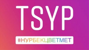 TSYP - #нурбекцветмет | Песня целиком | Это мой кент его зовут Нурбек он принимает цветмет