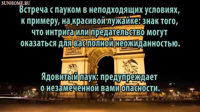 К чему снится Паук, паутина сонник, толкование сна смотреть онлайн