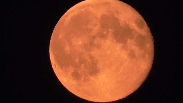 Луна в Августе смотреть онлайн