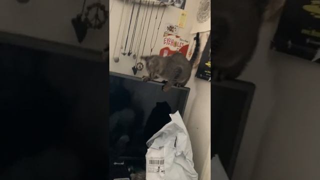 Hoppers existential crisis смотреть онлайн