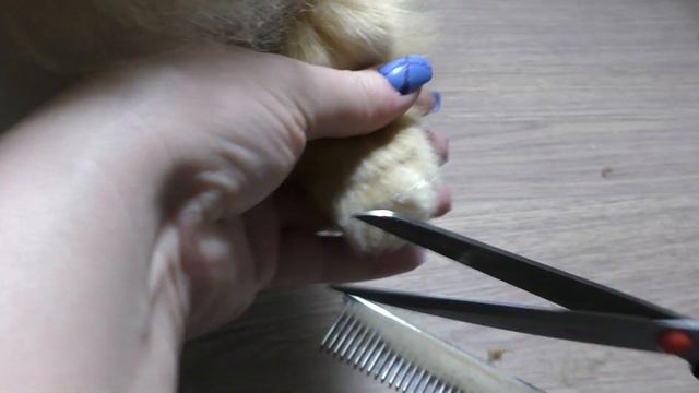 Померанский шпиц смотрит кино, расчесываем хвост собаки, ухаживаем за лапками и ушами шпица, влог смотреть онлайн