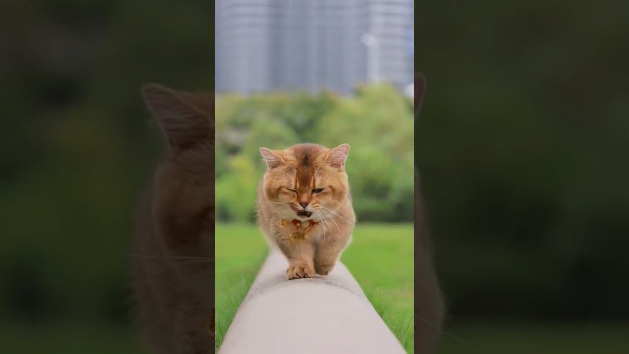 ❤ смотреть онлайн