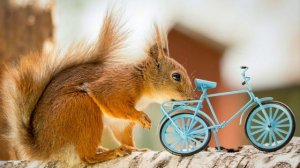 Сказ рассказ Я в садик не пойду