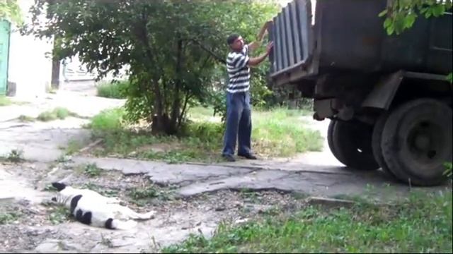 Животные - это твёрдые бытовые отходы в Украине смотреть онлайн