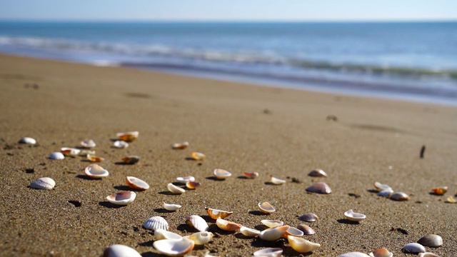 Where We Belong | Relaxing Melody for Complete Regeneration, Meditation and Stress Relief смотреть онлайн