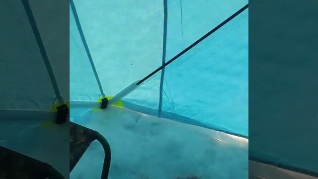 Рыбалка на о.Шаблиш. Хороший клёв чебака. 21.11.2019 смотреть онлайн