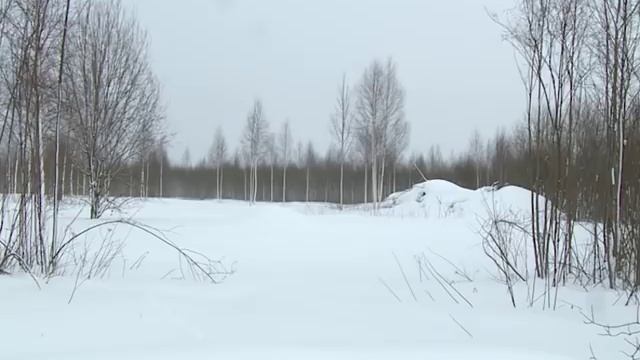 Многодетным семьям Череповца и района придётся еще дольше ждать обещанных земельных участков смотреть онлайн