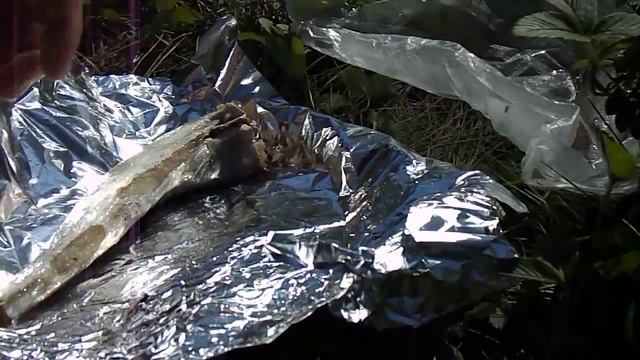 Готовим здоровую пищу 