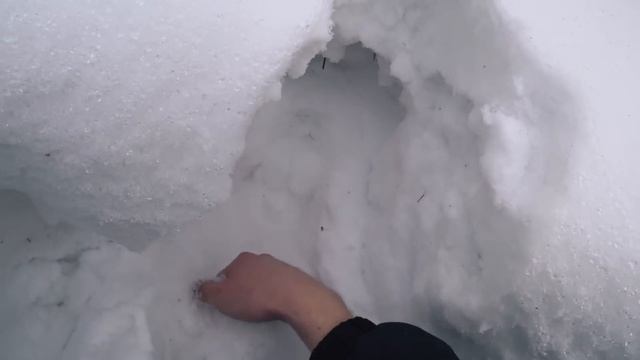 СКИТАЛСЯ ПО ЛЕСУ И НАШЕЛ ДОМ БЕЗ ЛЮДЕЙ. АБВГАТ смотреть онлайн