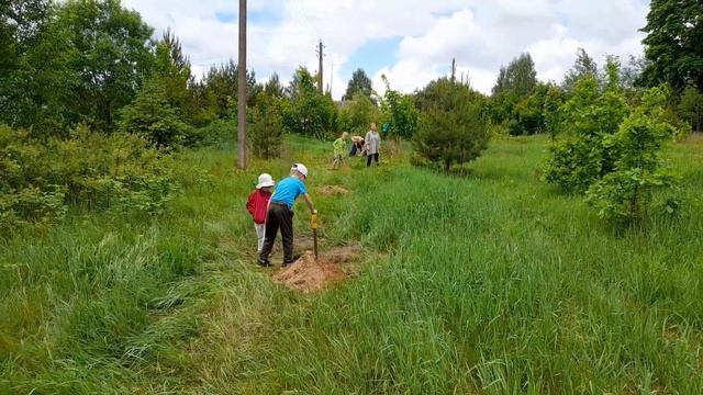 экологическая инициатива по посадке Лесосадов в Беларуси смотреть онлайн