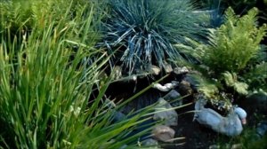 САДОВЫЕ ФИГУРКИ В САДУ