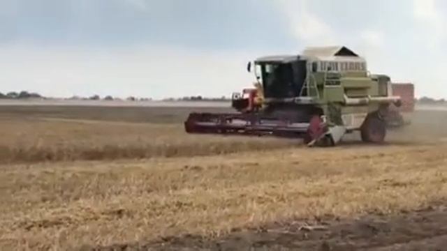 Крым 2020 / Уборка пшеницы Claas Mega 208 смотреть онлайн