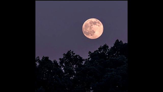 (FREE) Frank Ocean x Montell Fish type beat - "Falling apart" смотреть онлайн