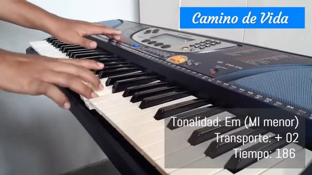 ✅ Folkrock - Teclado Yamaha PSR 270 / Parte 02