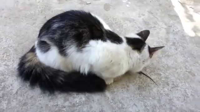 Буржуйка 2 Монтаж и утепление дымохода смотреть онлайн