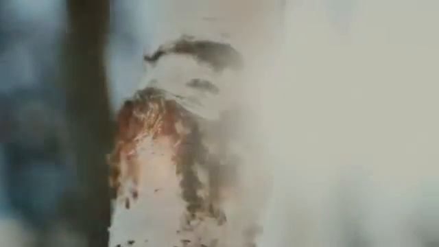 Отборный цветочный мед Алтайской Разнотравье в био упаковке