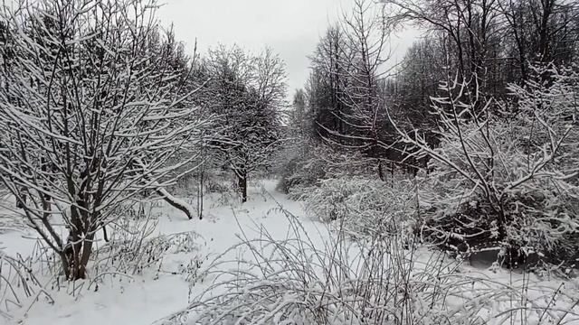 Зимний парк Царицыно 04.12.2021 смотреть онлайн