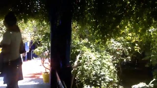 САДЫ МАЖОРЕЛЬ, МАРРАКЕШ, МАРОККО / jardin Majorelle, Marrakesh, Morocco || selected spices смотреть онлайн