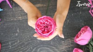 Paper peony / Пион из бумаги / ПРОСТО И КРАСИВО / DIY TSVORIC