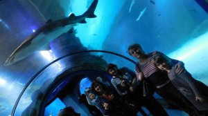 2016.01 Москвариум