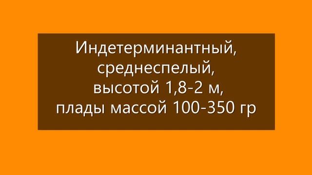 Томаты, подходящие для консервирования. г. Киров. Ватсап, Вайбер т. 89229284031 смотреть онлайн