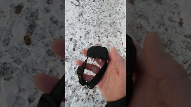 Электроошейник и ошейник Антилай . смотреть онлайн