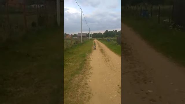 СНТ " СОКОЛ" велосипед смотреть онлайн