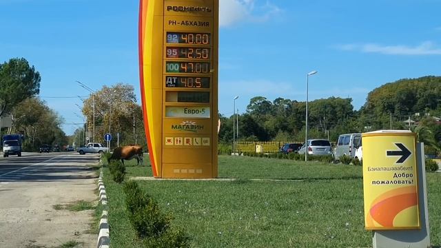 АБХАЗИЯ - ШОК ЦЕНА НА БЕНЗИН - ПОЧЕМУ ТАК? смотреть онлайн