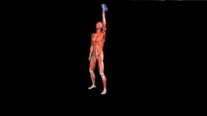 Турецкий подъем гири с приседом Kettlebell Turkish Get Up Squat