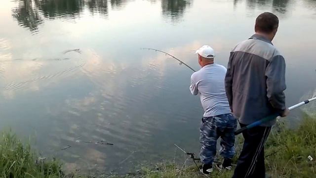 На живца кто то клюнул....../ The bait someone pecked смотреть онлайн