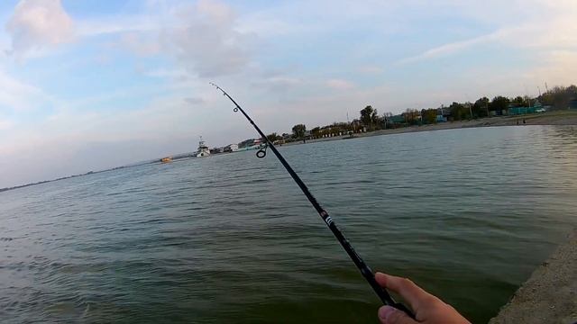 Микроджиг с новым спинингом  KAIDA KINGFISHER