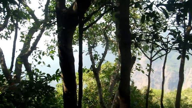 Индия, Гоа, Дикое гнездо смотреть онлайн