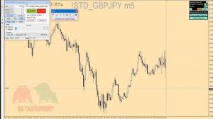 Установка, настройка и азы использования тестера стратегий/Профессиональный курс Форекс-трейдинга