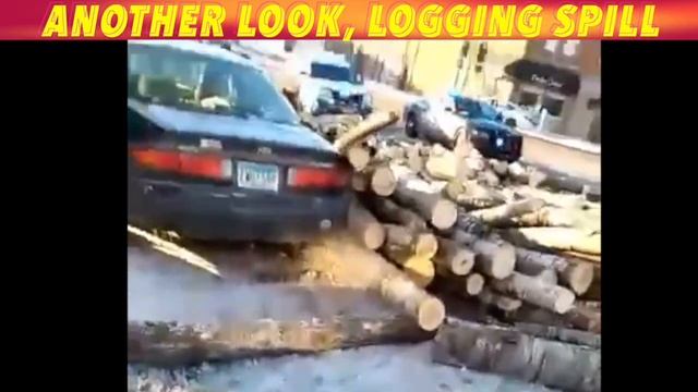 Another View, Logging Spill In Bagley, Minnesota смотреть онлайн
