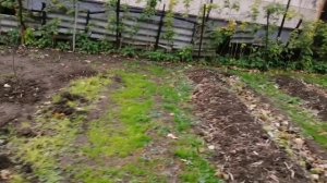 ОТДЫХ НА ДАЧЕ? ИЛИ ПУТЕШЕСТВИЕ НА ДАЧУ?