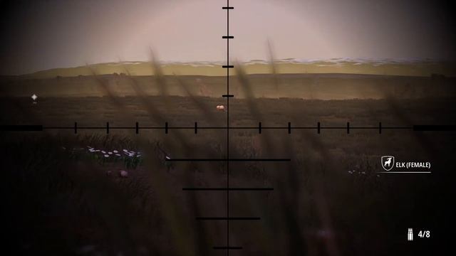 HUNTING SIMULATOR 2 - How to play beginner guide | Tutorial with tips and tricks for getting closer смотреть онлайн