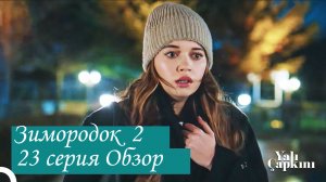 Зимородок 2. Новая 23 серия. Обзор